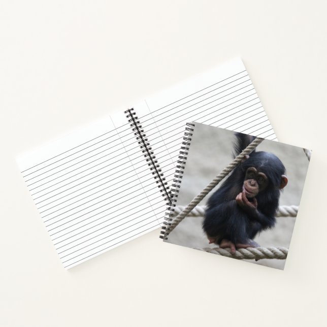 Chimpanzee 030 notebook (Inside)