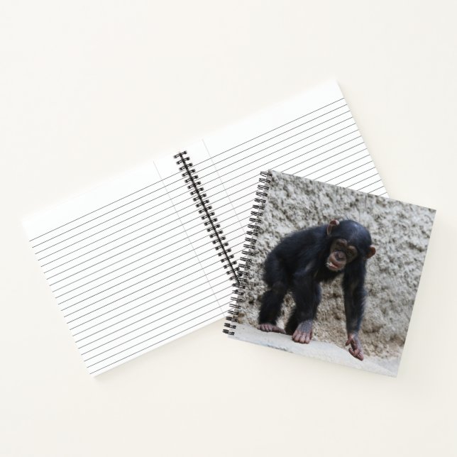 Chimpanzee 031 notebook (Inside)