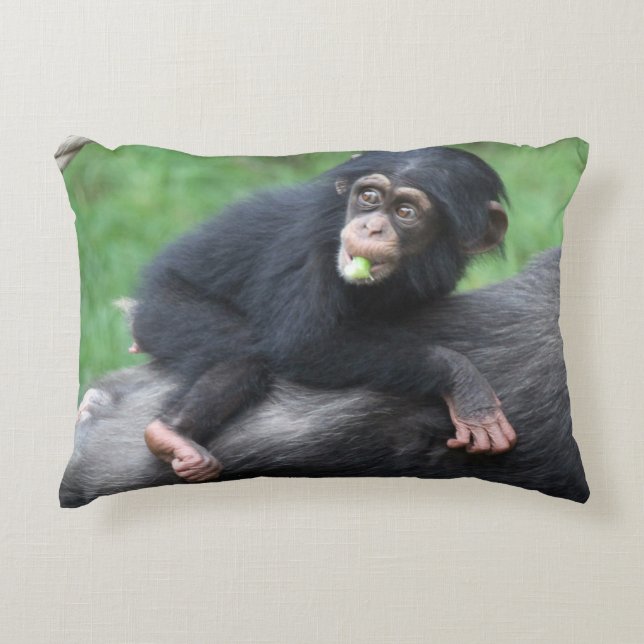 Chimpanzee 032 accent pillow (Front)