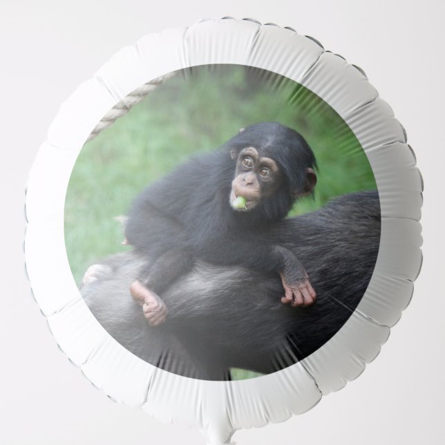 Chimpanzee 032 balloon (Front)