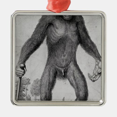 Chimpanzee 1699 metal ornament
