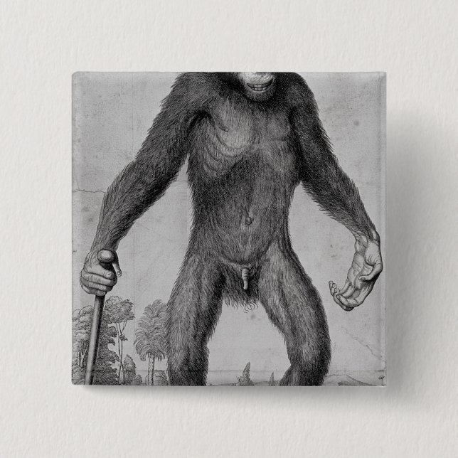 Chimpanzee, 1699 pinback button (Front)
