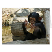 Chimpanzee_2015_0101 (Front Horizontal)