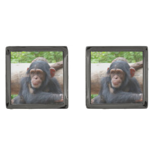 Chimpanzee_2015_0504 Cufflinks