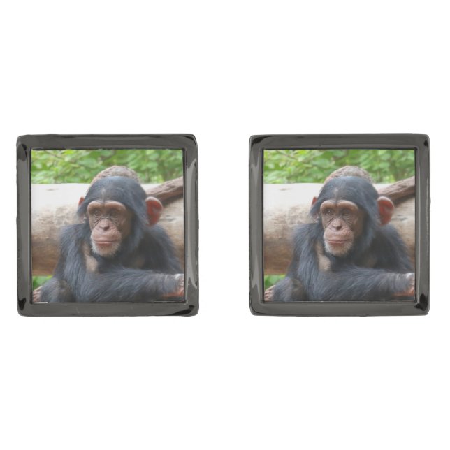 Chimpanzee_2015_0504 Cufflinks (Front)