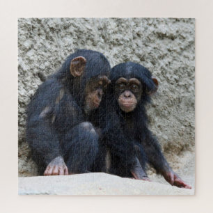 Chimpanzee 2020-03-01 jigsaw puzzle