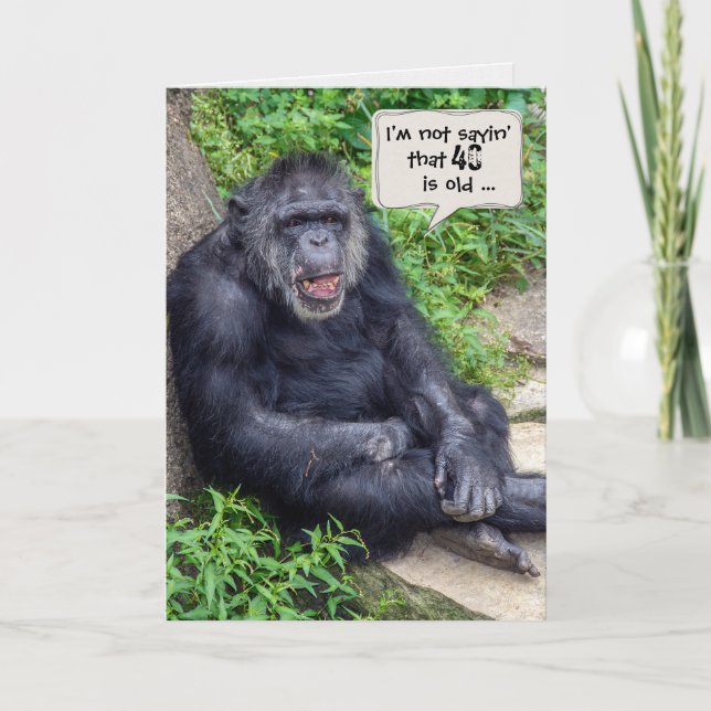 Chimpanzee 40th Birthday Humor Card (Front)