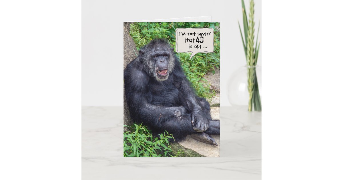 Chimpanzee 40th Birthday Humor Card Zazzle