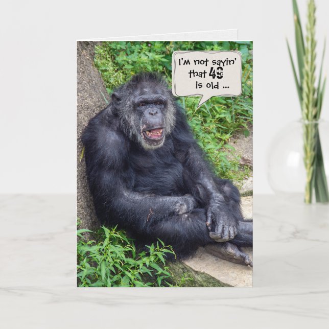chimpanzee 49th birthday humor card (Front)