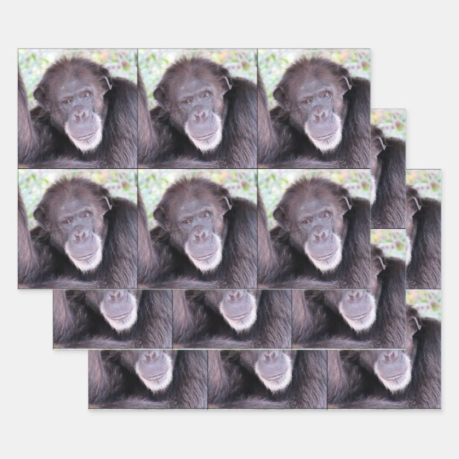 Chimpanzee All Occasion Wrapping Paper Sheets (Set)