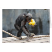 Chimpanzee and Rubbery Ducky (Front Horizontal)