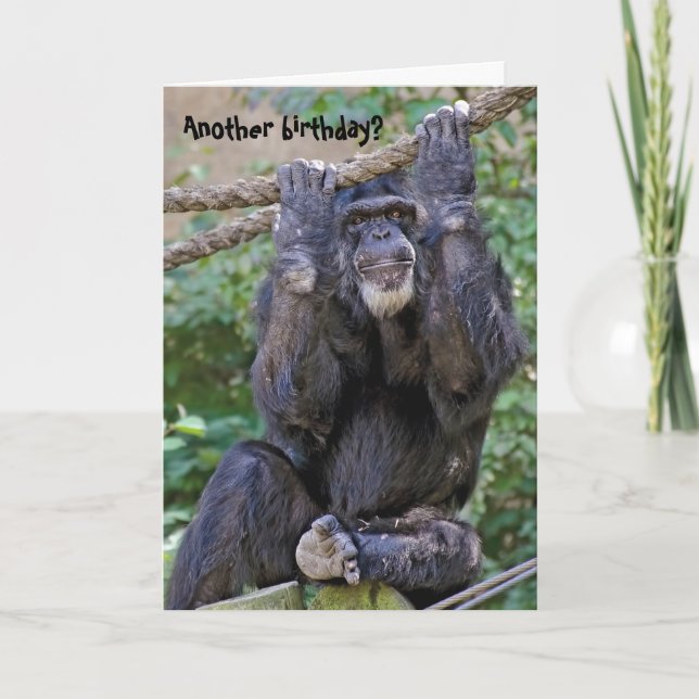 Chimpanzee Birthday Humor Card (Front)