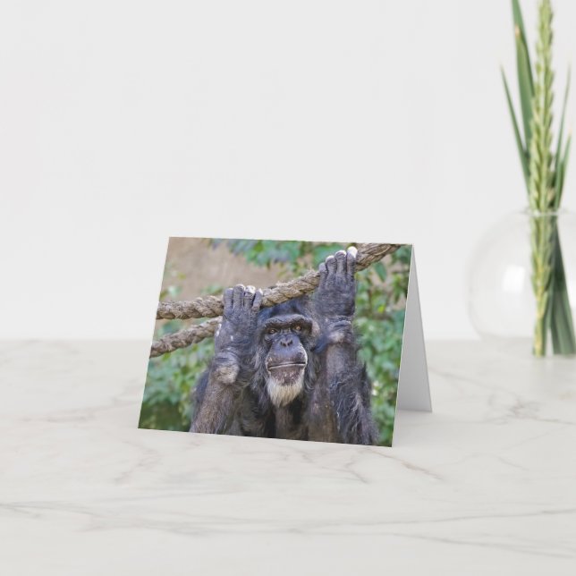 Chimpanzee Birthday Humor Card (Front)