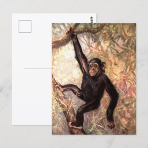 Chimpanzee by CE Swan, Vintage Wild Jungle Animals Postcard