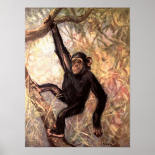 Chimpanzee by CE Swan, Vintage Wild Jungle Animals Poster