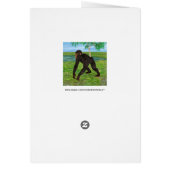 Chimpanzee Cards (Back)