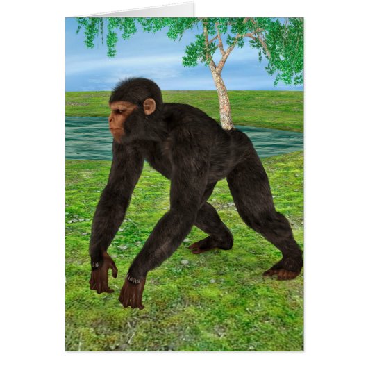 Chimpanzee Cards (Front)