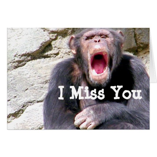 Chimpanzee_ Cards (Front Horizontal)
