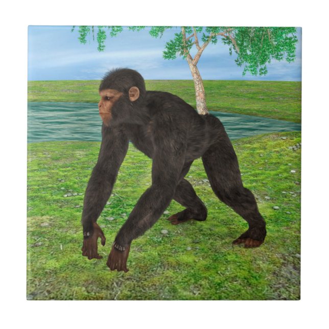 Chimpanzee Ceramic Tile (Front)