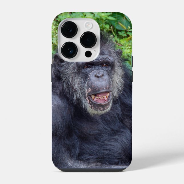 Chimpanzee Close Up Iphone Case (Back)