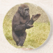 Chimpanzee Coasters