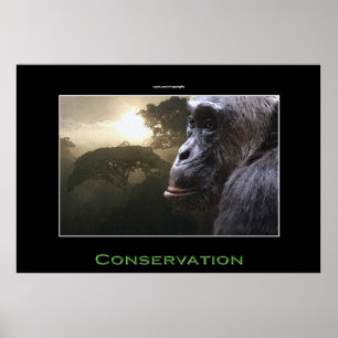 Chimpanzee CONSERVATION Wildlife Art Poster