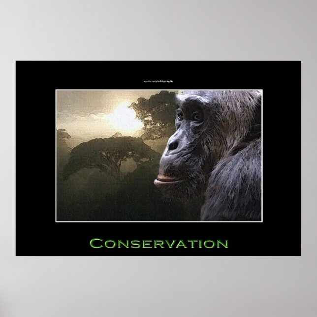 Chimpanzee CONSERVATION Wildlife Art Poster (Front)