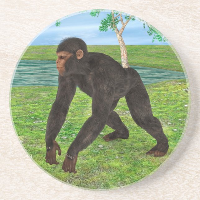 Chimpanzee Drink Coaster (Front)