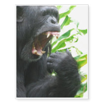 Chimpanzee Fangs Temporary Tattoos