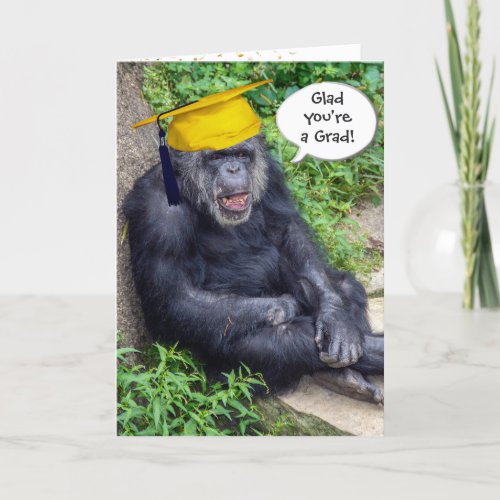 Chimpanzee Graduate with Gold Cap Card