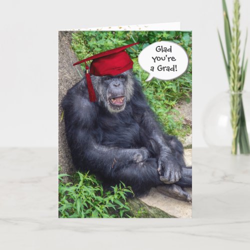 Chimpanzee Graduate with  Red Cap Card