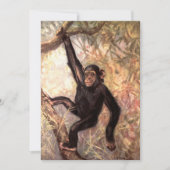 Chimpanzee Hanging in Tree (Front)