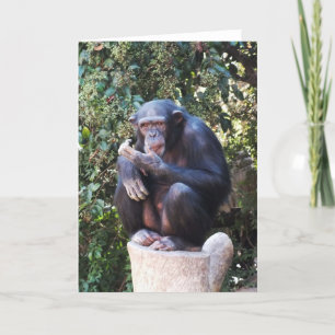Chimpanzee Holiday Card