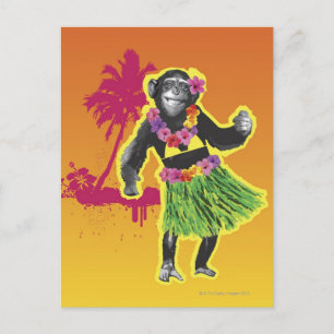 Chimpanzee Hula Dancing Postcard