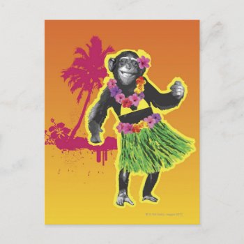 Chimpanzee Hula Dancing Postcard by prophoto at Zazzle