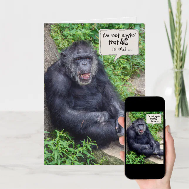chimpanzee humorfor 40th birthday card Zazzle