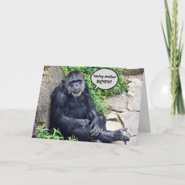 Chimpanzee Humorous Birthday Card (Front)