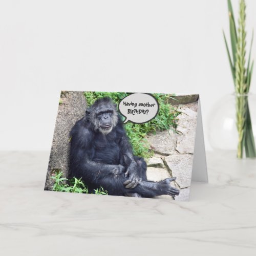 Chimpanzee Humorous Birthday Card