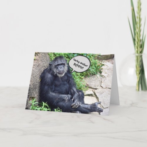 Chimpanzee Humorous Birthday Card