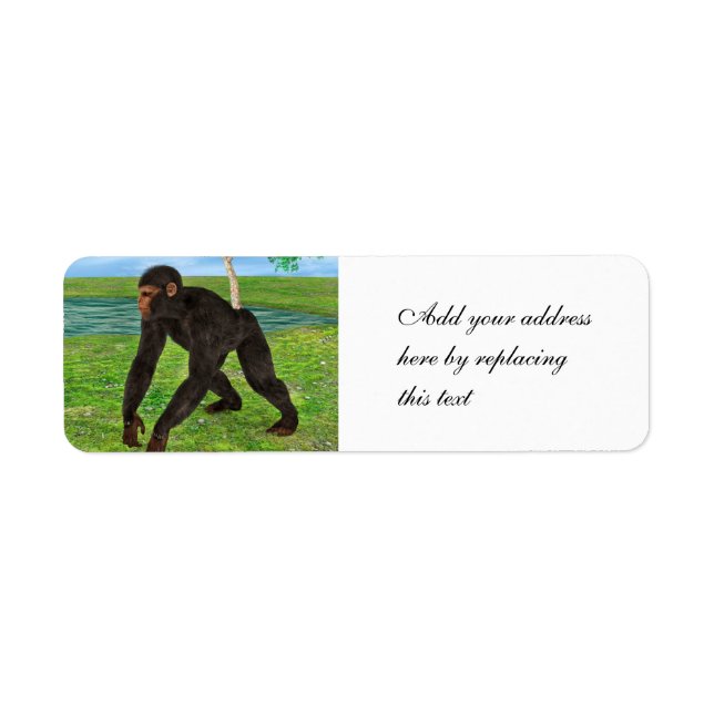 Chimpanzee Label (Front)