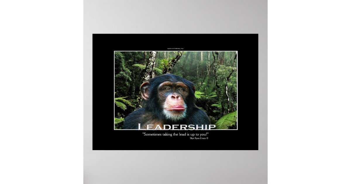 Funny Monkey Ape Chimp Memes with Funny Sayings Poster