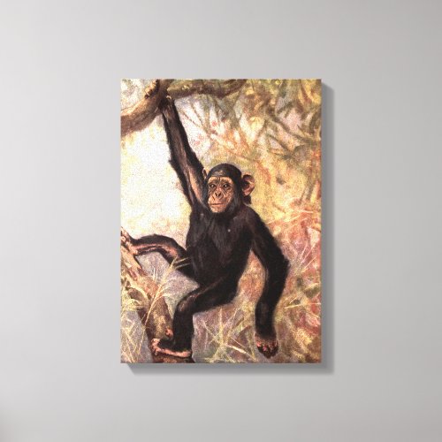 Chimpanzee Monkey by CE Swan Vintage Wild Animals Canvas Print