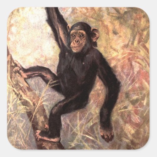 Chimpanzee Monkey by CE Swan Vintage Wild Animals Square Sticker