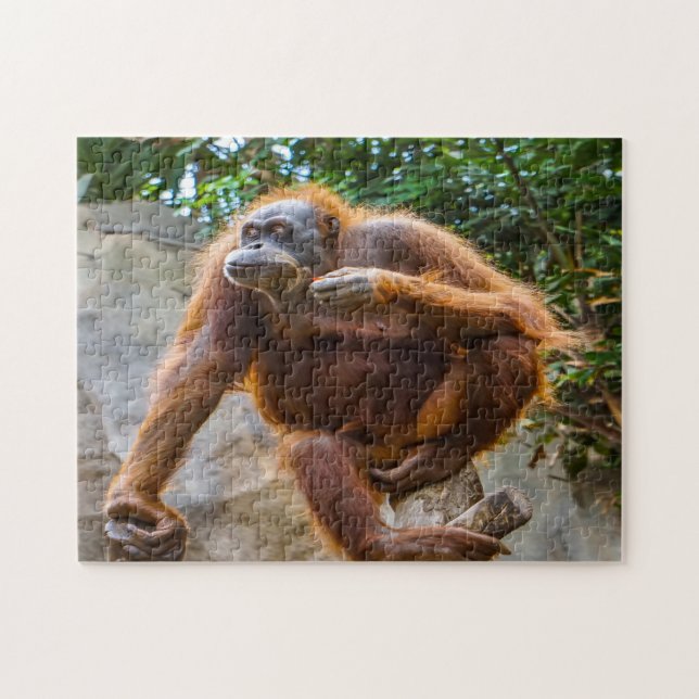 Chimpanzee Monkey. Jigsaw Puzzle (Horizontal)