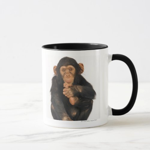Chimpanzee Pan troglodytes Mug