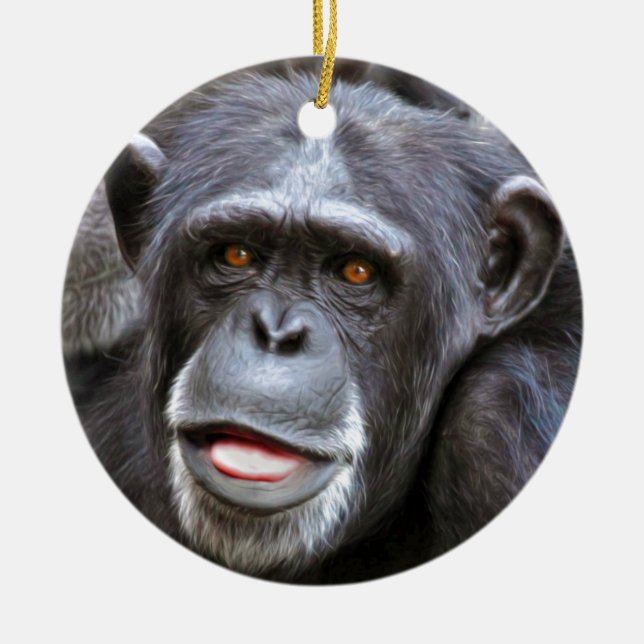 Chimpanzee Photo Ceramic Ornament (Front)