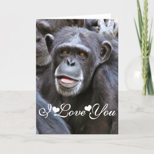 Chimpanzee Photo Image I Love You Holiday Card