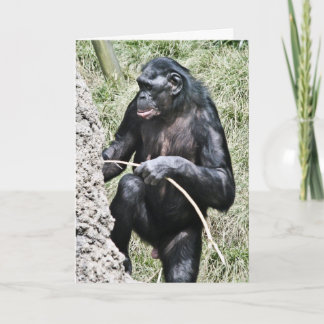 Chimpanzee Photo w Encouraging Thomas Edison Quote Card