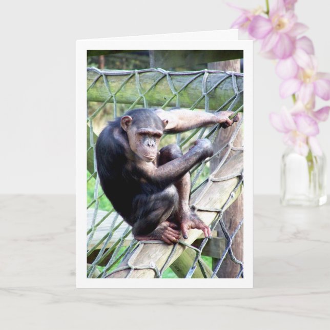 Chimpanzee Portrait Card (Orchid)