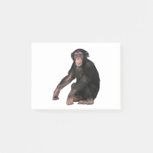 Chimpanzee Post_it Notes